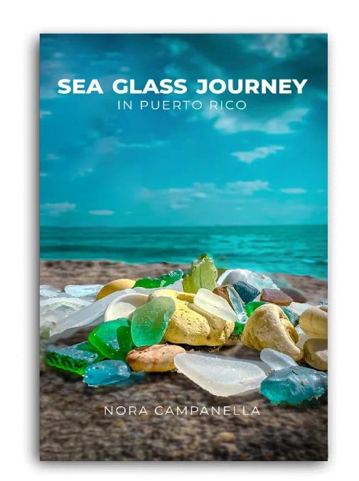 Published book cover 8